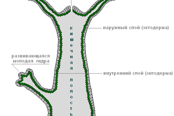 Кракен сайт в тор браузере ссылка