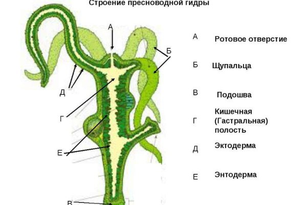 Kraken тор k2tor